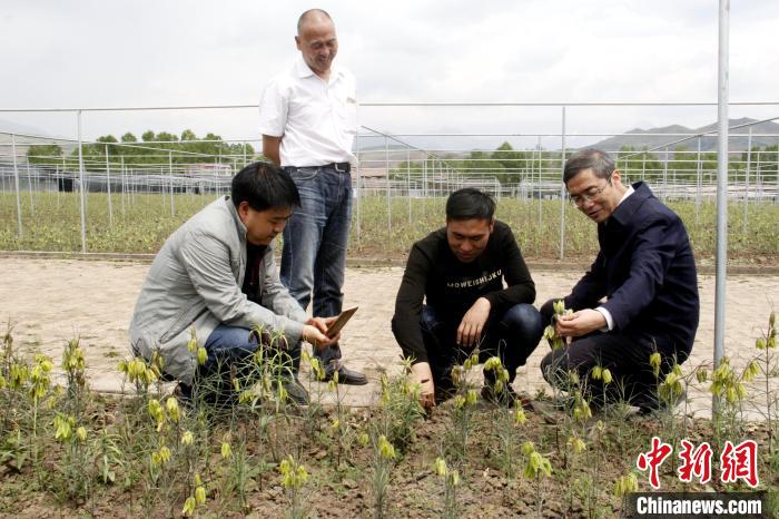 新澳资料大全